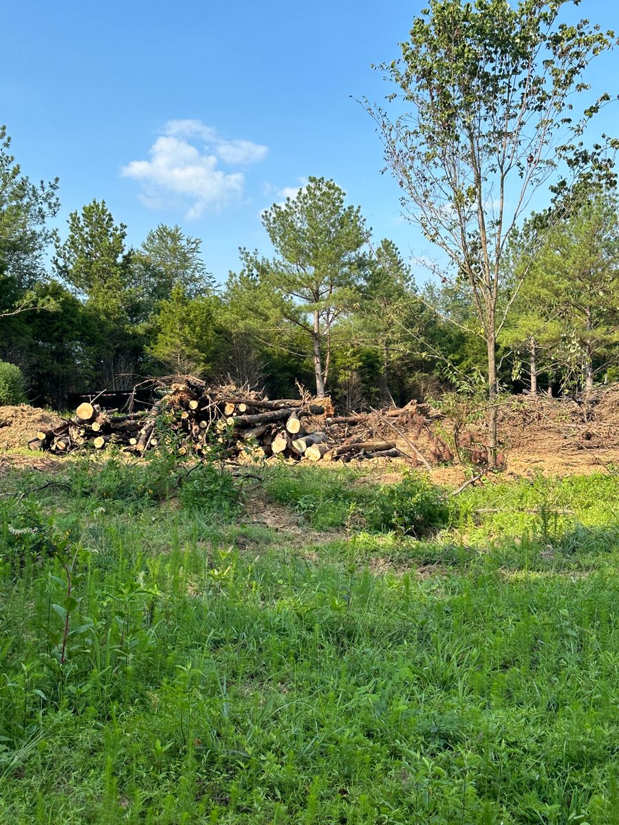 Tree Trimming & Removal for Lanes Land Management in Fayetteville, TN
