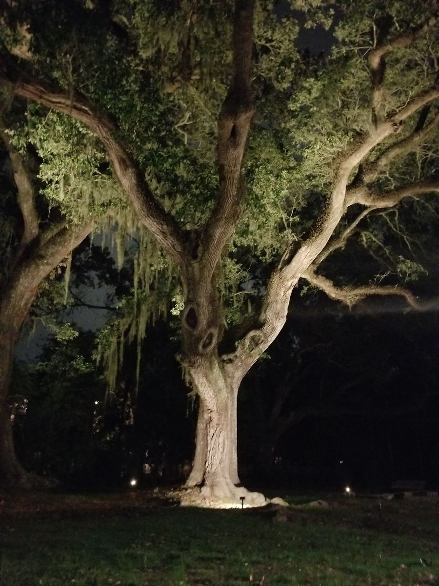 Landscape for Green Pastures Lawn Care in Bastrop, TX
