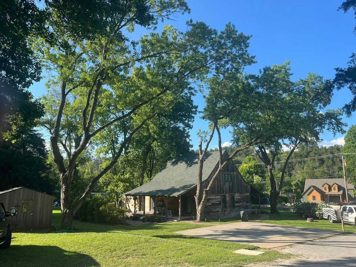 Tree Removal for H n H Tree Service in Taneyville, MO