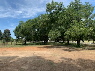 Excavation & Land Clearing for Teague Trees & Landscaping in Rendon, TX