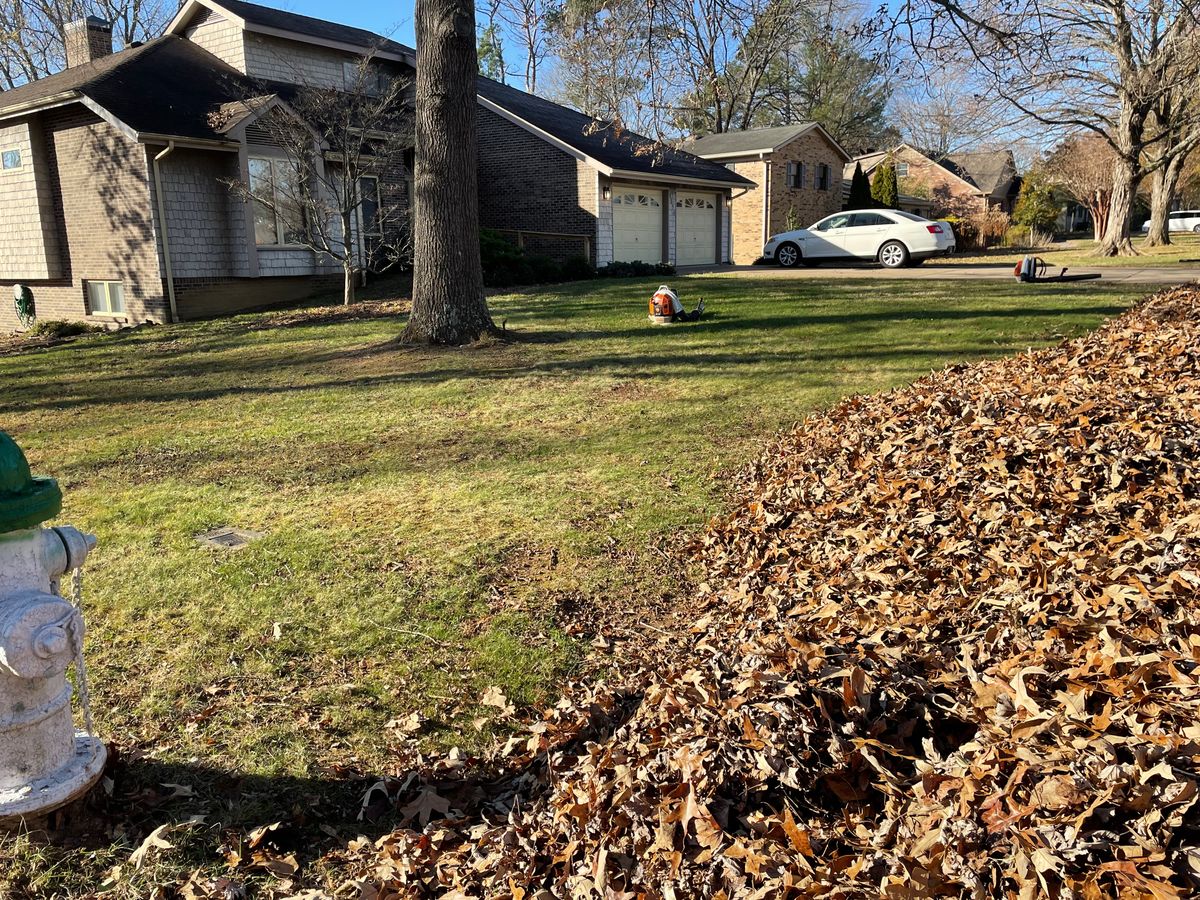 Leaf Removal for Bailey’s Lawn Care & Dirt Service in Murray, KY