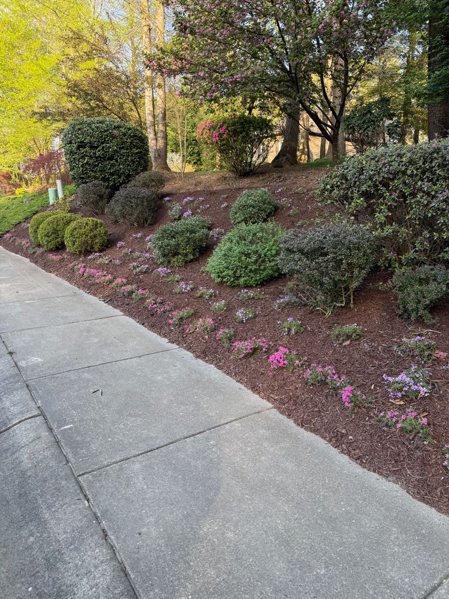Shrub Trimming for Southern Star Landscaping LLC in Catawba, NC