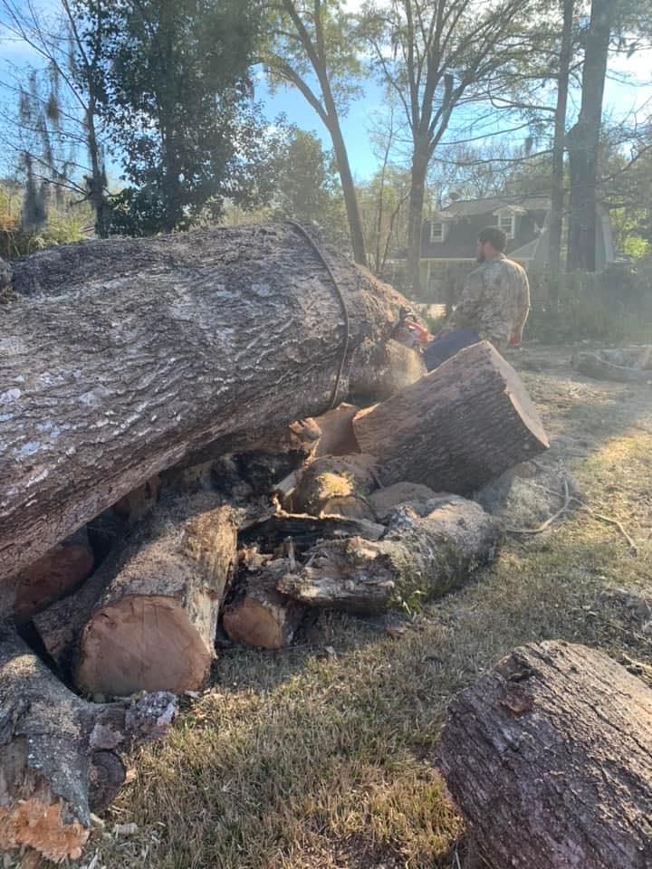 Tree Trimming & Removal for All of the Above Landscaping in Orange Park, FL