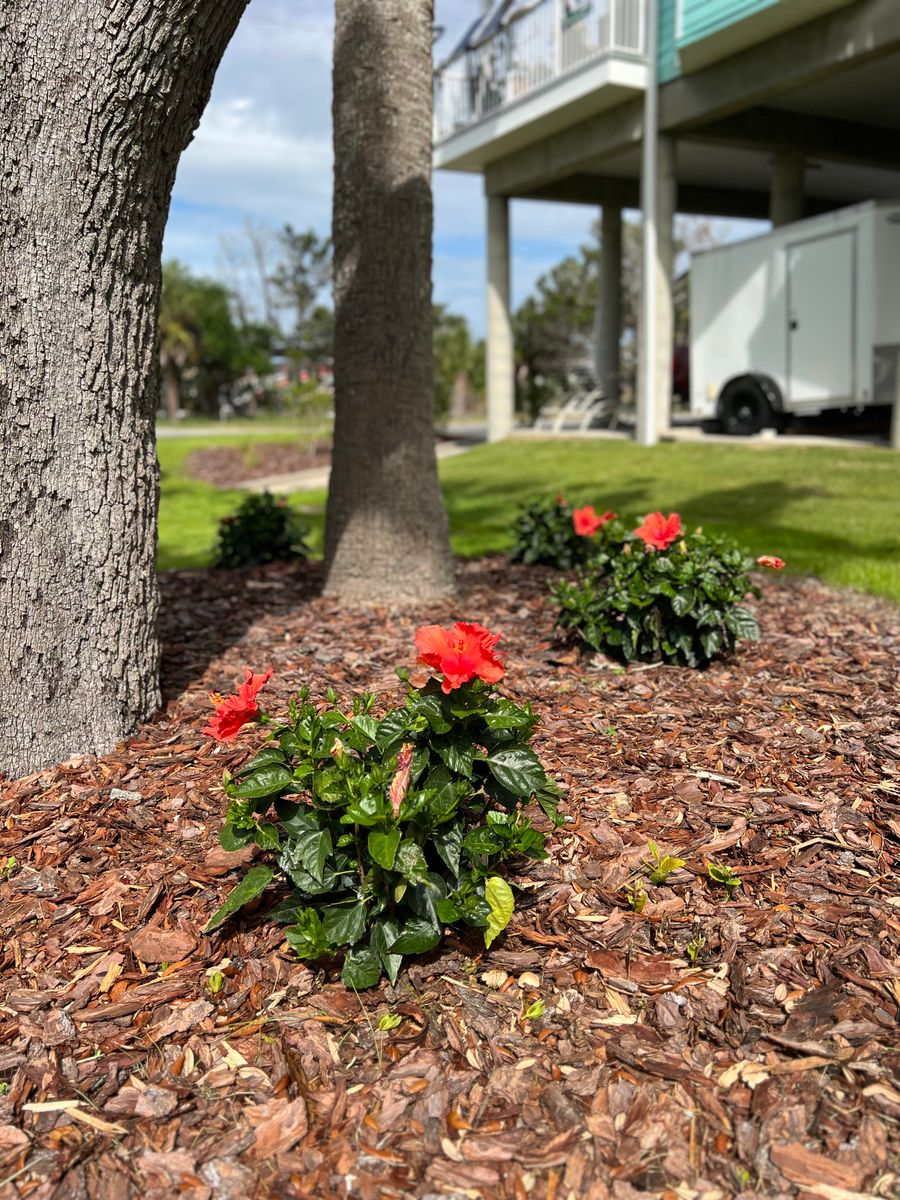 Landscape Design and Installation for Roberts Lawn & Landscape in Steinhatchee, FL