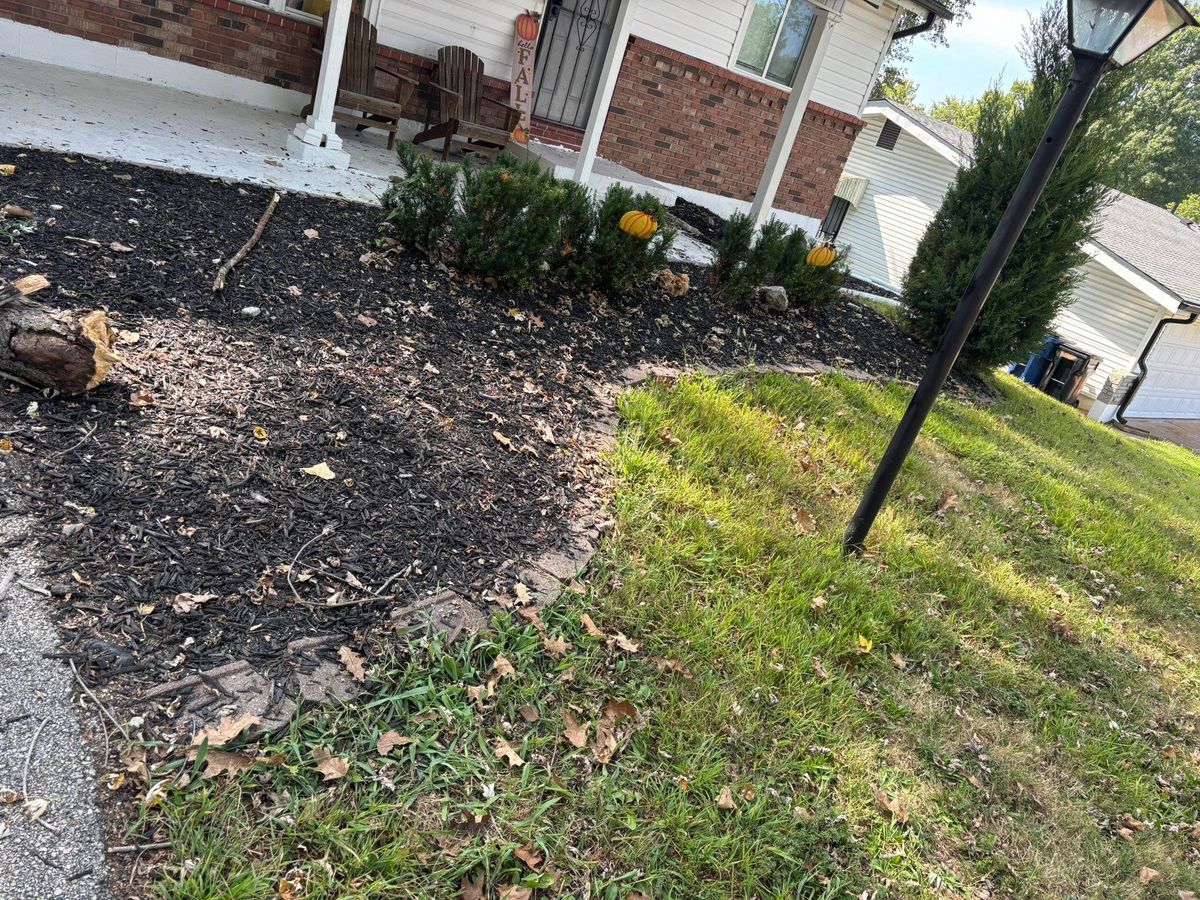  Brush and Shrub Removal  for Jackson Lawn Services LLC in St Louis, MO