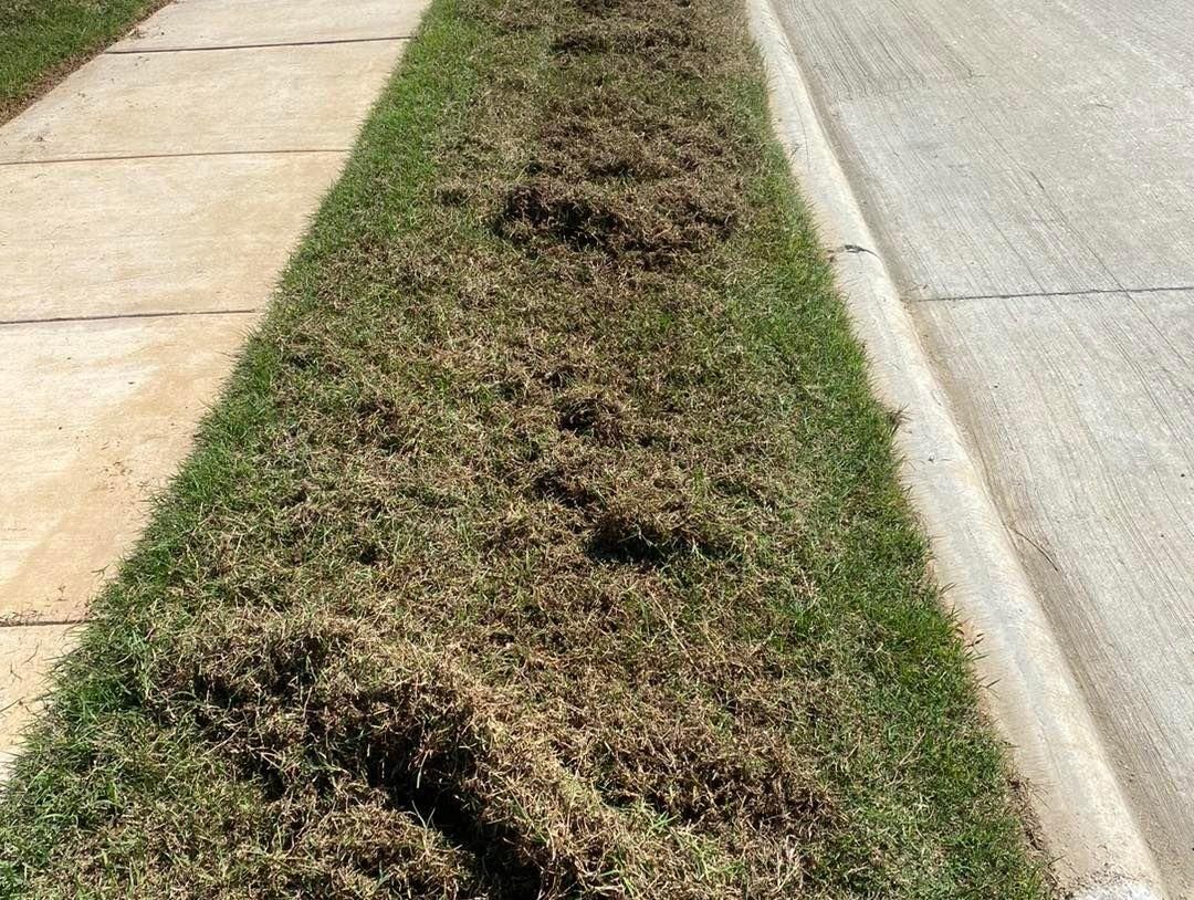 Dethatching for North Texas Groundscaping in Frisco, TX