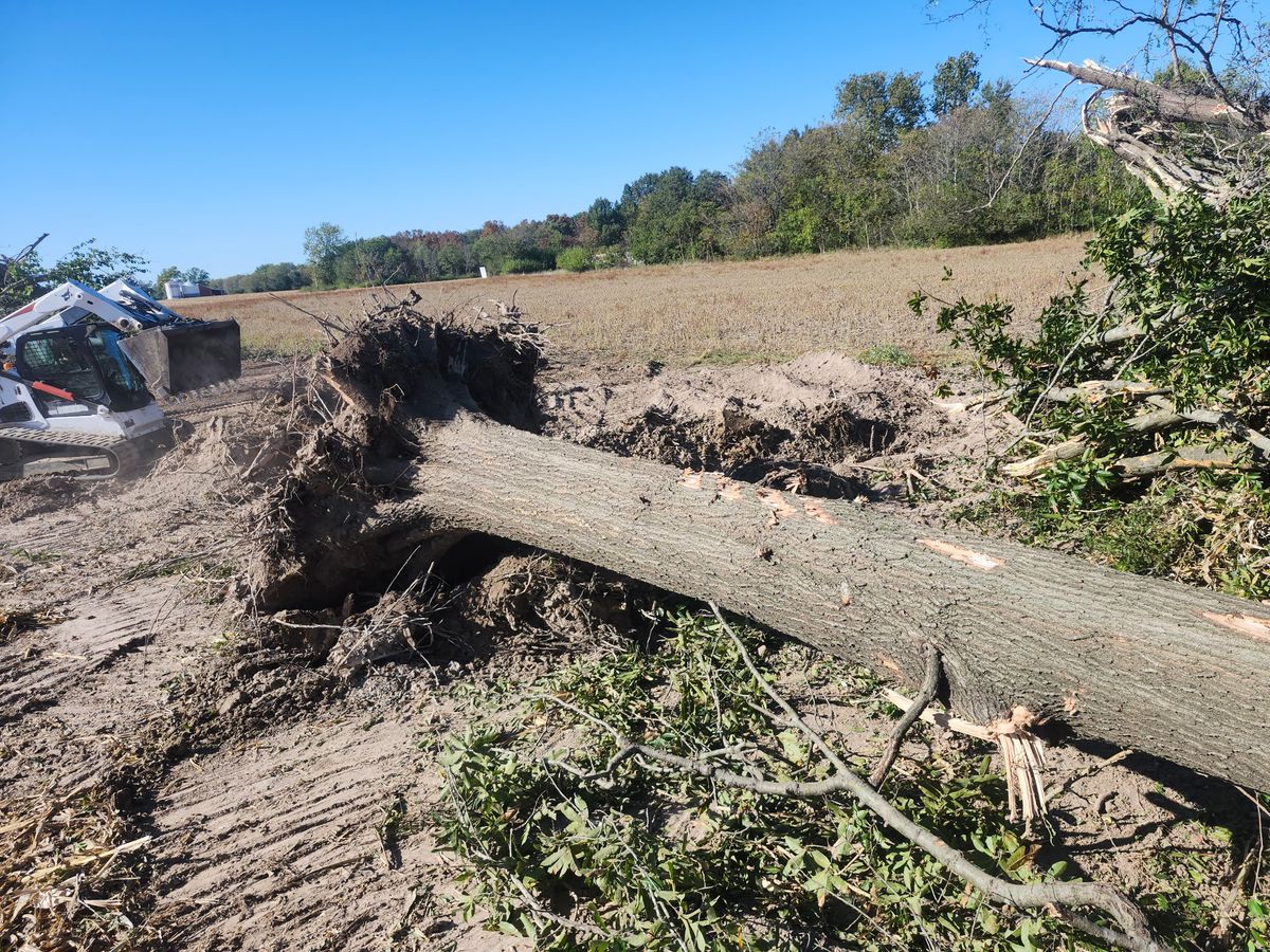 Land Clearing & Demolition for BDS Trucking & Excavating in Litchfield, IL