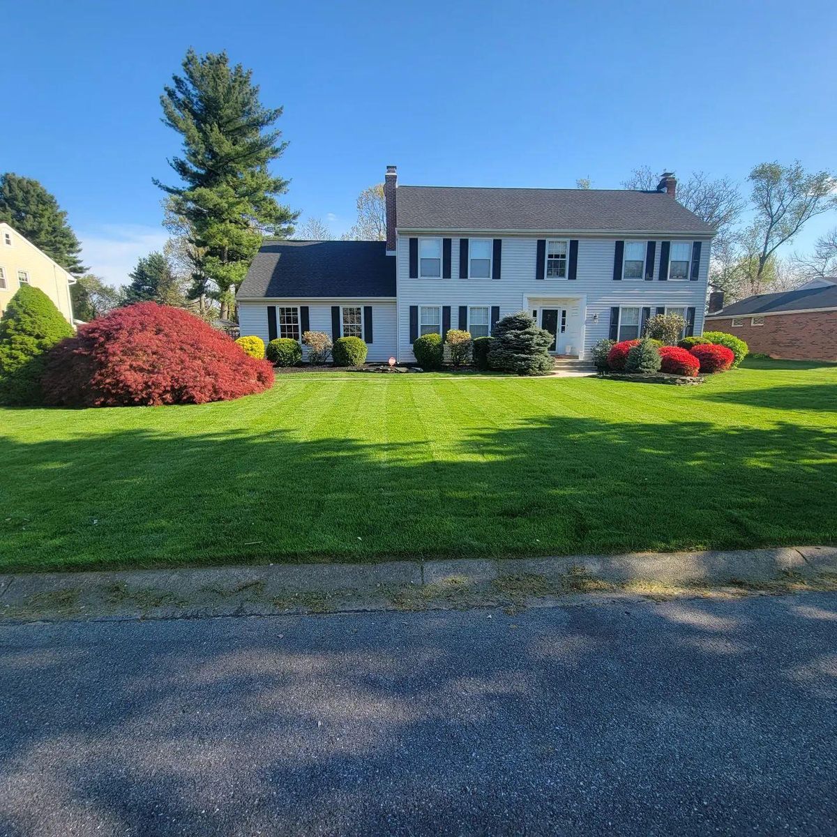 Lawn fertilization for Trippin A-Lawn in Bethlehem, PA