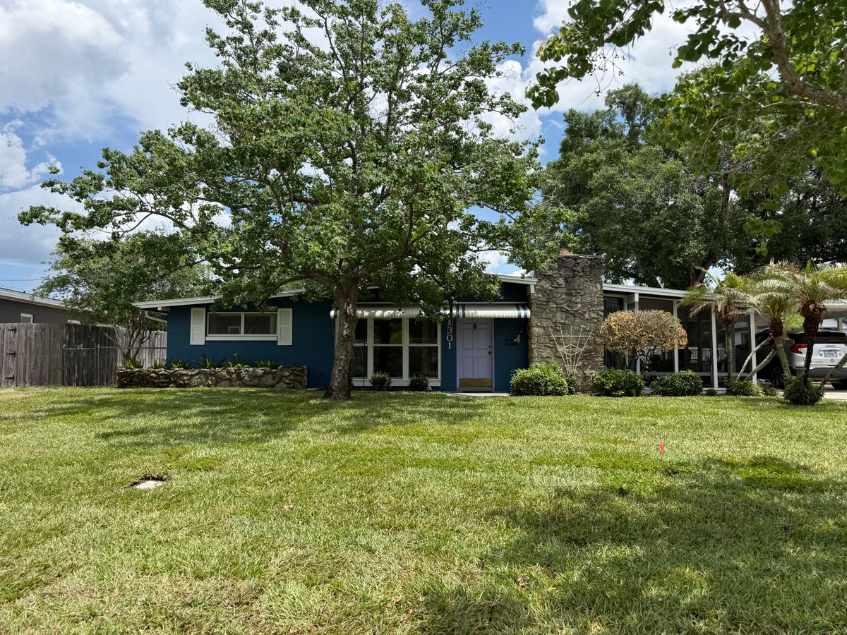 Mowing for Amerigrown Tree And Lawn in Apopka, FL