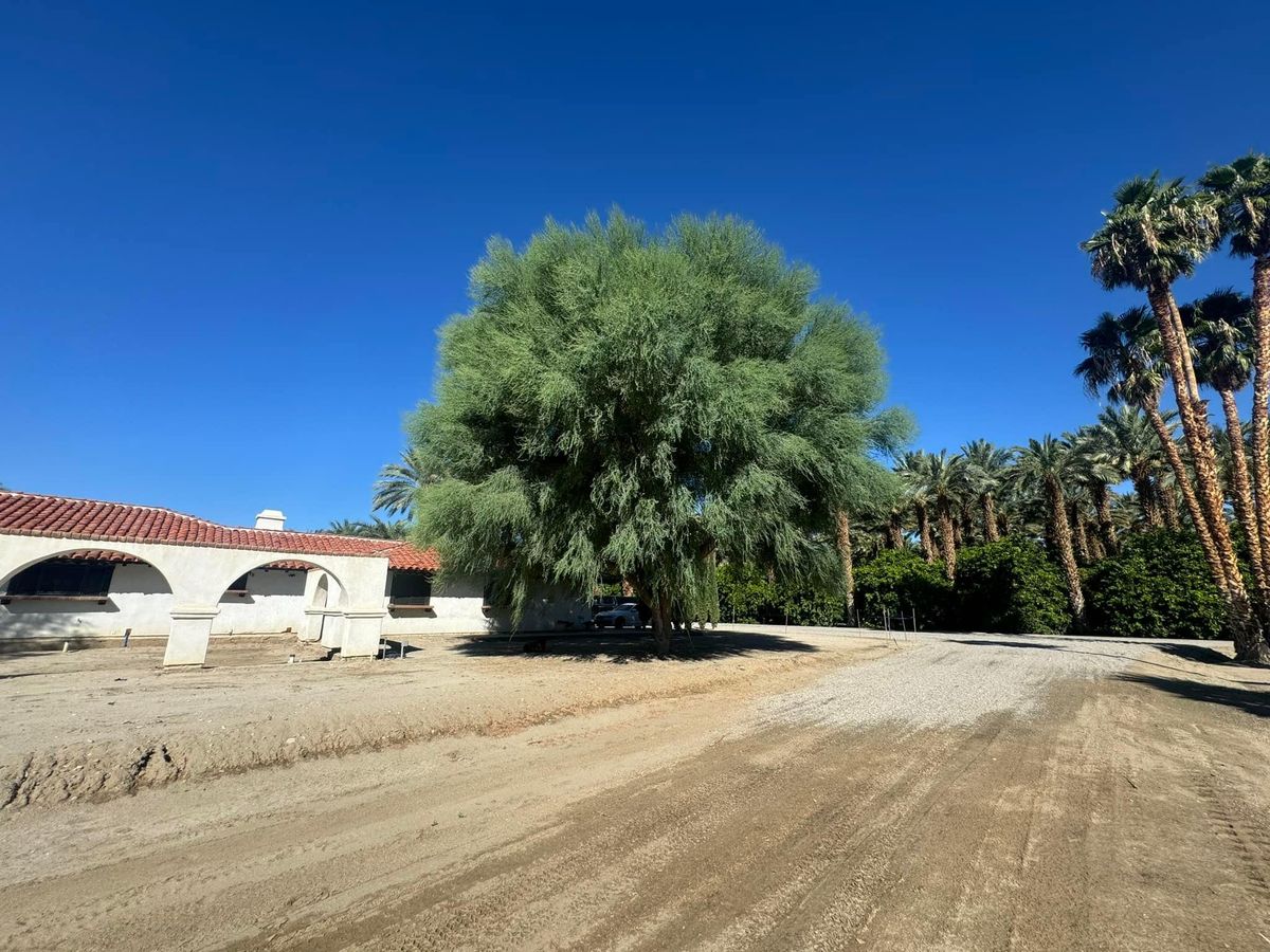 Property Beautification for The Tree Fairy in Temecula, CA