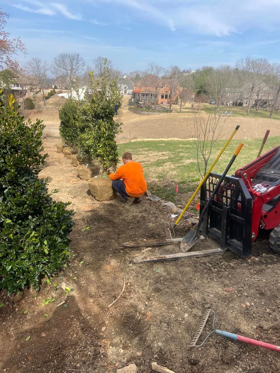 Tree Planting for Mtn. View Lawn & Landscapes in Chattanooga, TN