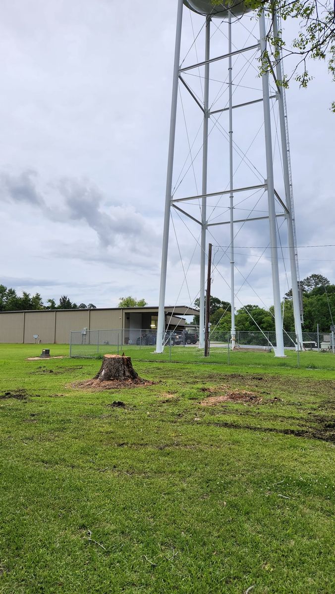 Tree Removal for Ken's Elite Cutters LLC  in Breaux Bridge, LA