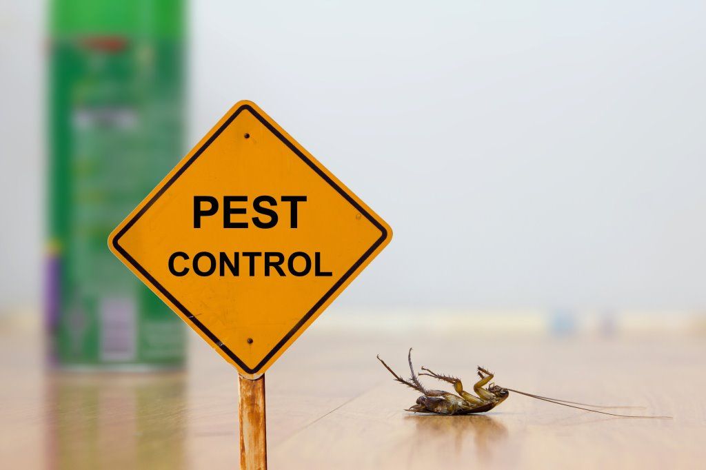 Pest Control for Volunteer Pest Solutions in Knoxville, TN