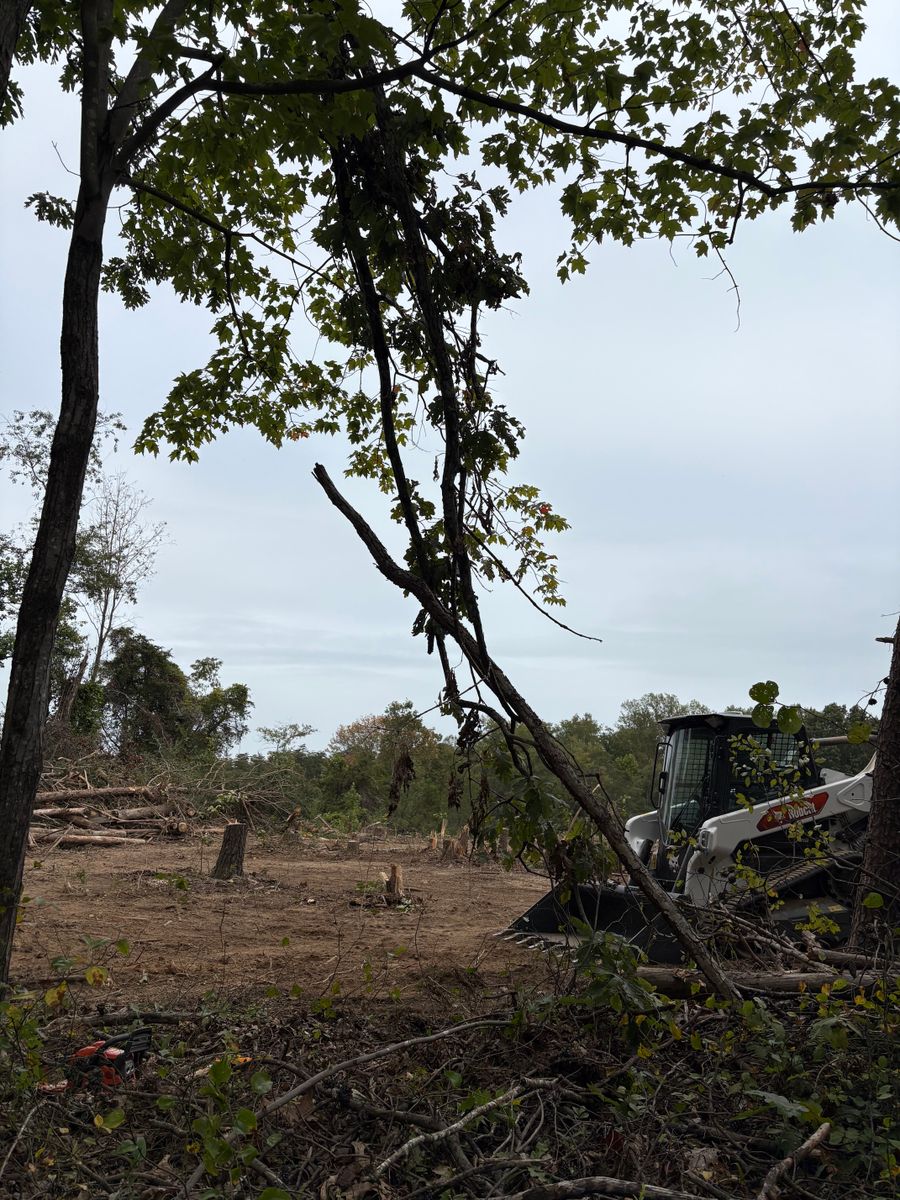 Land Clearing for Mountainside Property Services LLC in Warrenton, VA