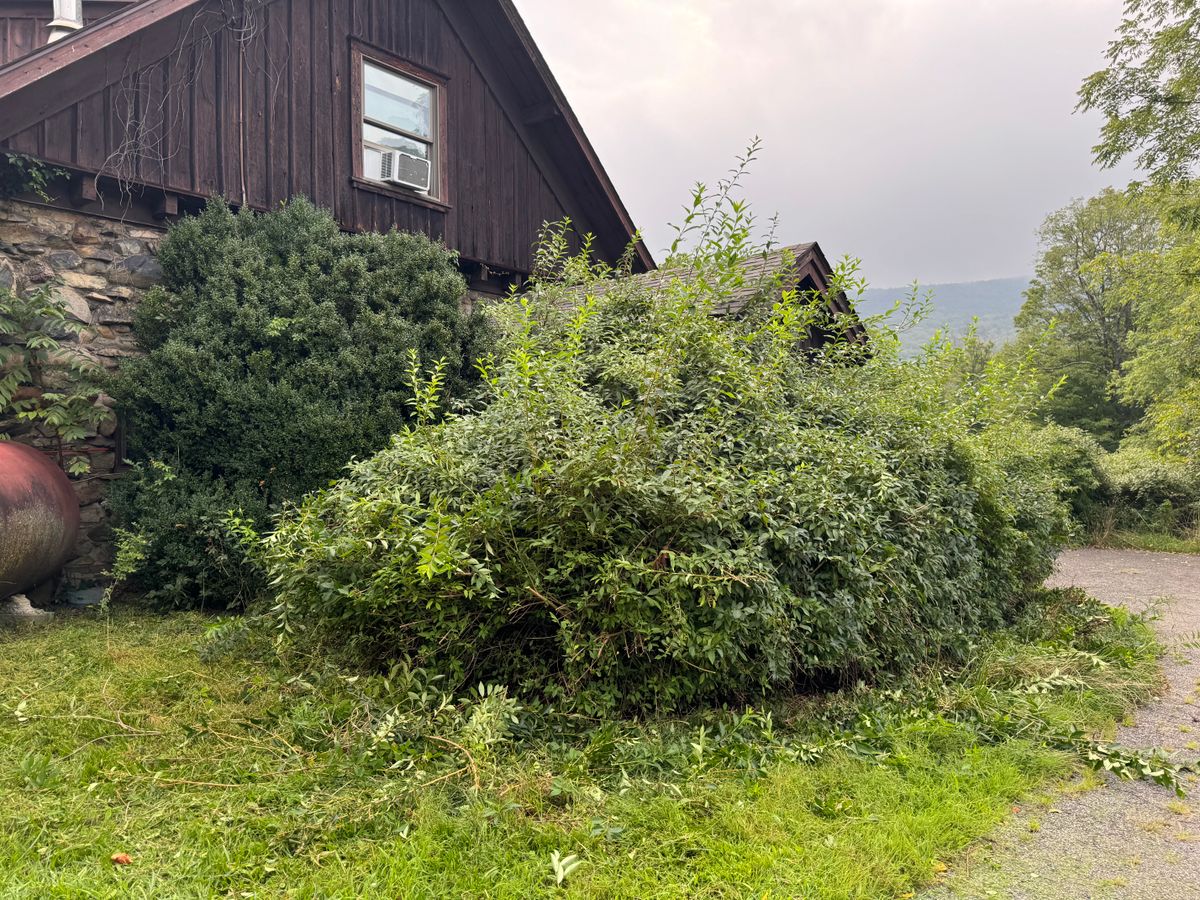 Shrub Trimming for Jacob’s Property Maintenance   in Dutchess County, NY