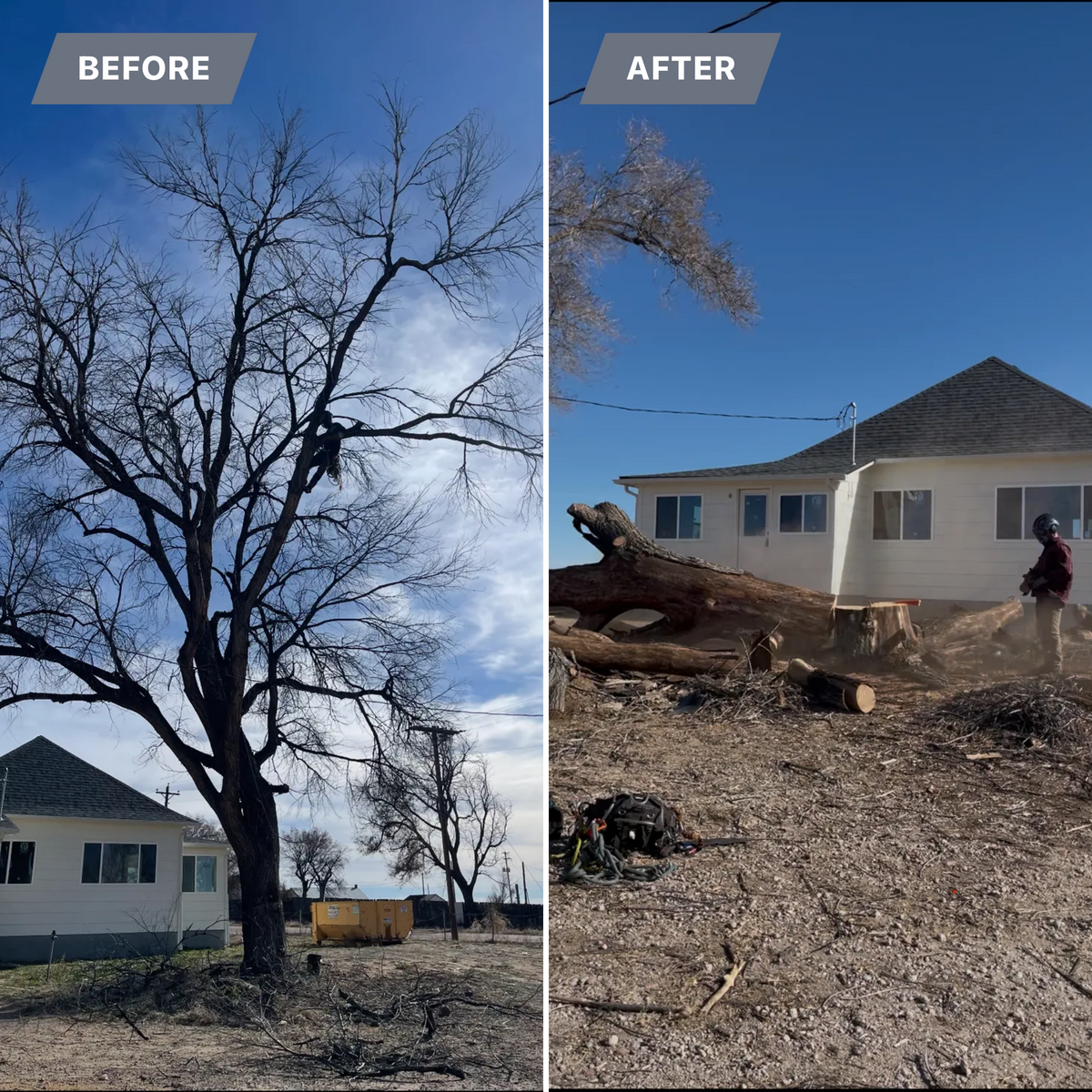 Tree Removal for Graham’s Tree Services in Pierce, CO