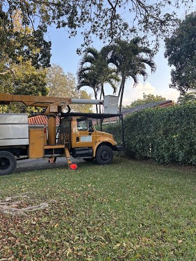 Tree Trimming for Nurry Tree Services in Miami, FL