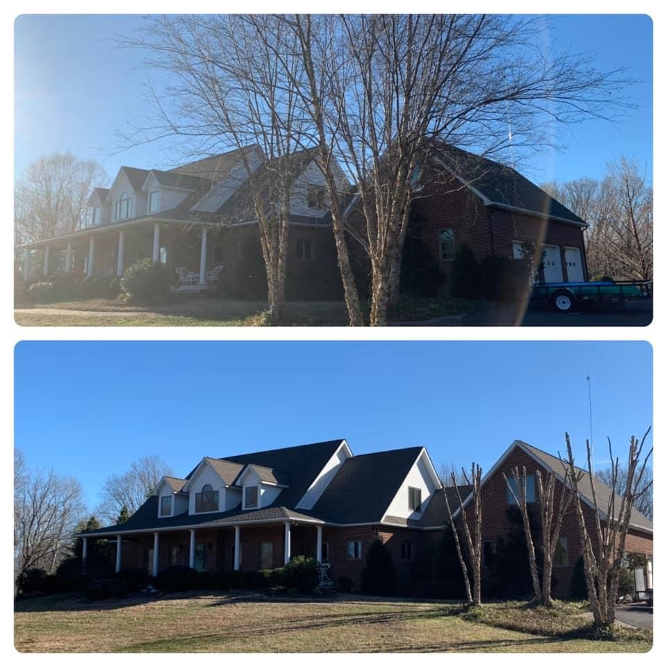 Tree Trimming for Branch Out Tree Care LLC in Fredericksburg, VA