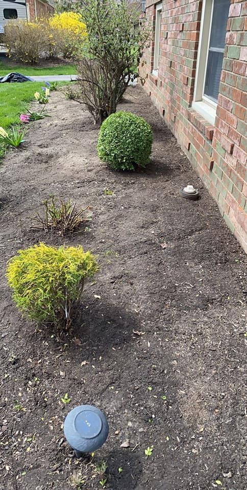 Fall and Spring Clean Up for Vega's Lawncare and Landscaping in Noblesville,  IN