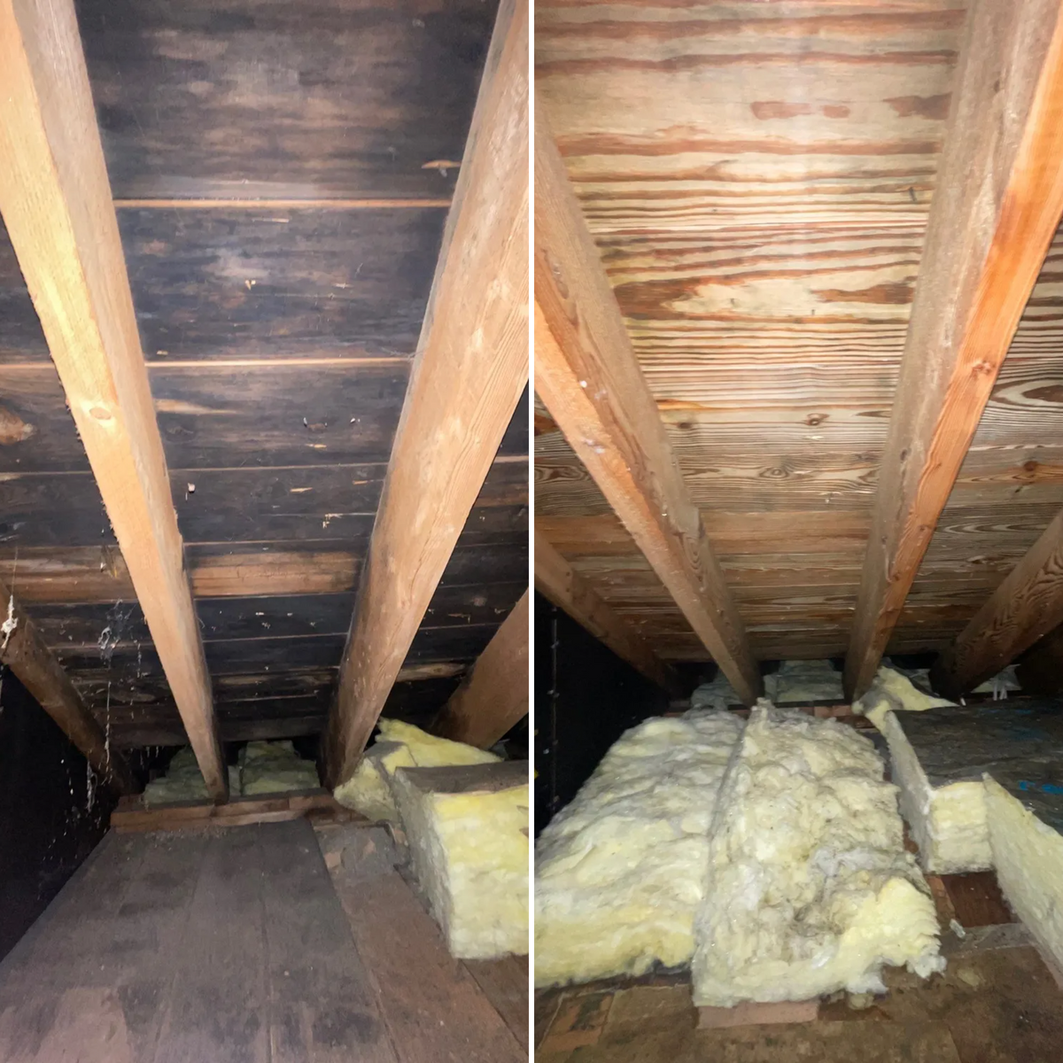 Structural Cleaning & Sanitization for EFS Water Restoration in Phillipston, MA