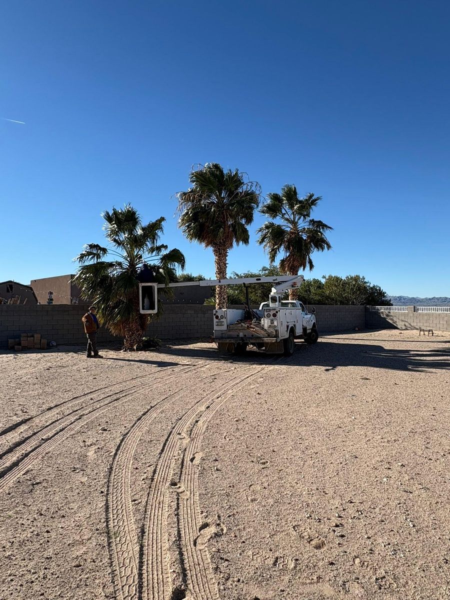 Landscape Design for Top Notch Landscape Services LLC in Mohave Valley, AZ