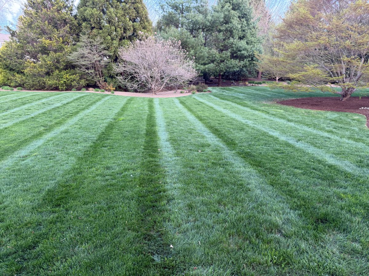 Premium Lawn Maintenance for Emerald Exterior Property Management in Old Saybrook, CT