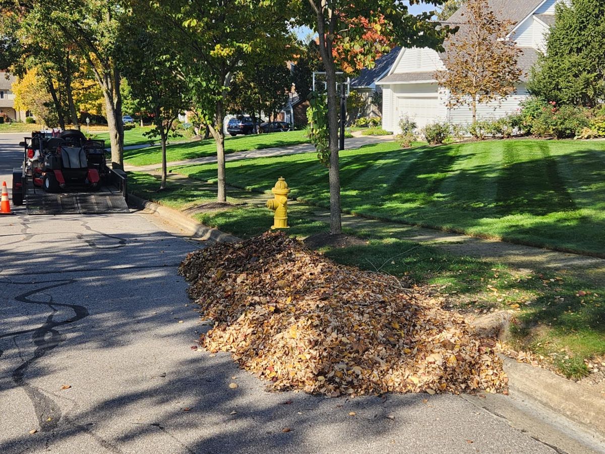 Fall Clean Up for Double D Landscape Services in Columbus ,  OH