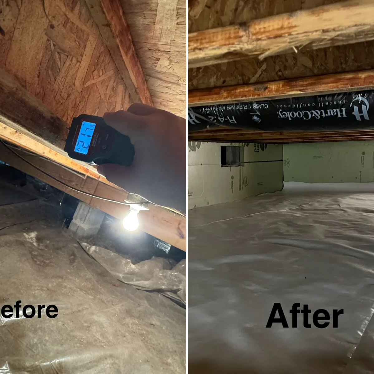 Crawl Space/Attic Renovation for All-In Pest Control & Home Solutions in Greene County, IN