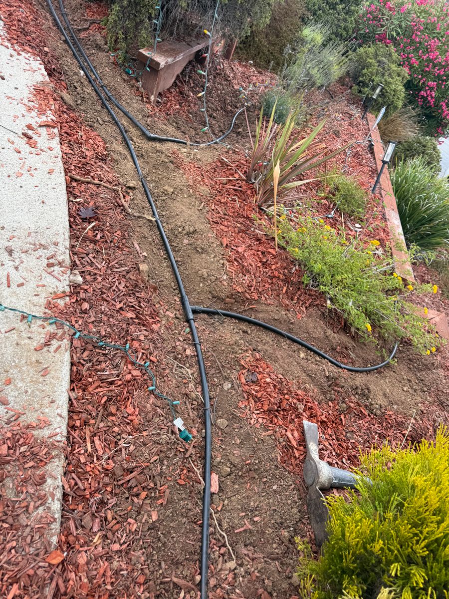 Mulch Installation for CBA Landscaping in Hayward, CA