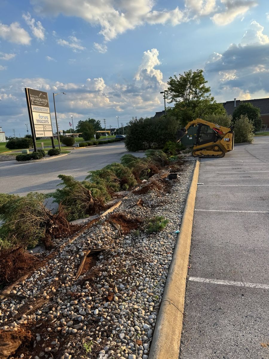 Seasonal & Specialty Services for DIRT PLUS LLC in Bowling Green, KY