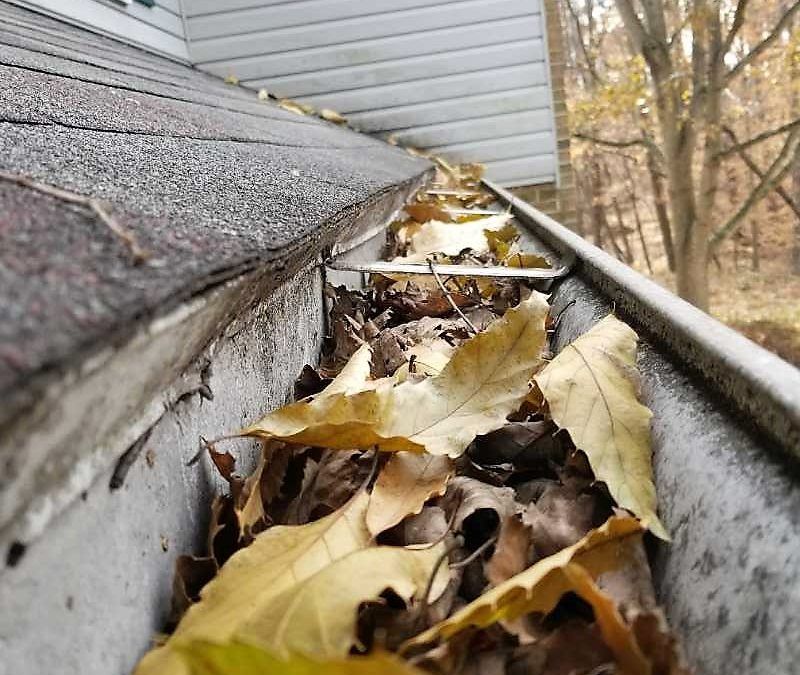 Gutter Cleaning for Mowraculous in Republic, MO