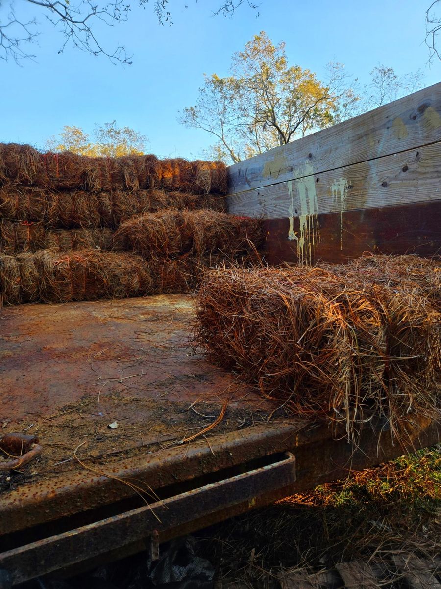 Mulch Installation for Zepeda's Mowing in Fort Valley, GA