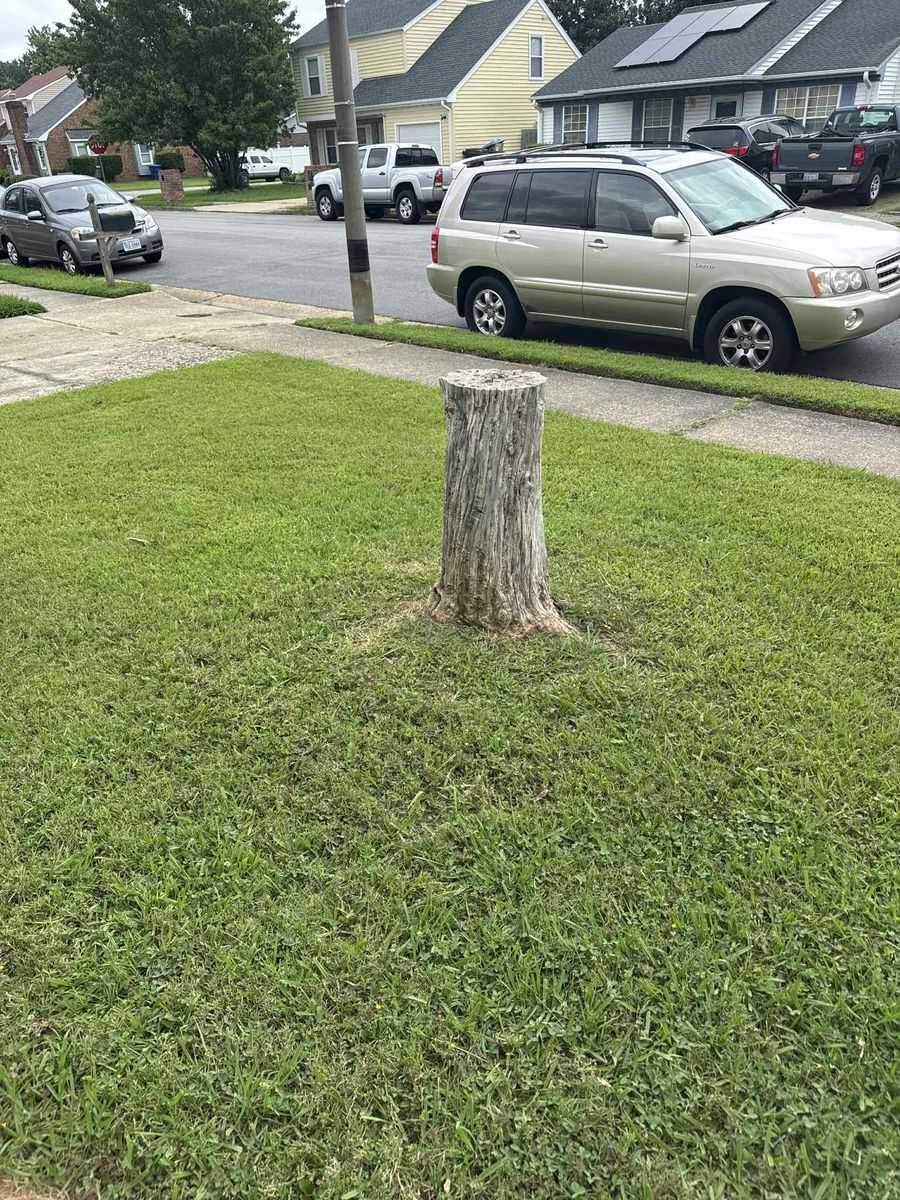 Stump Grinding for Anchor & Grind Stump in Chesapeake, VA