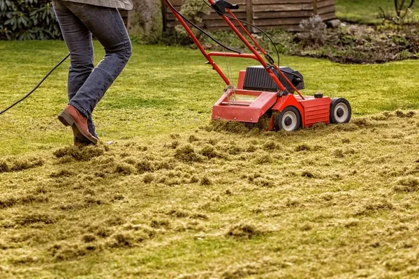 Lawn Dethatching for Avenscapes NW, LLC in , WA