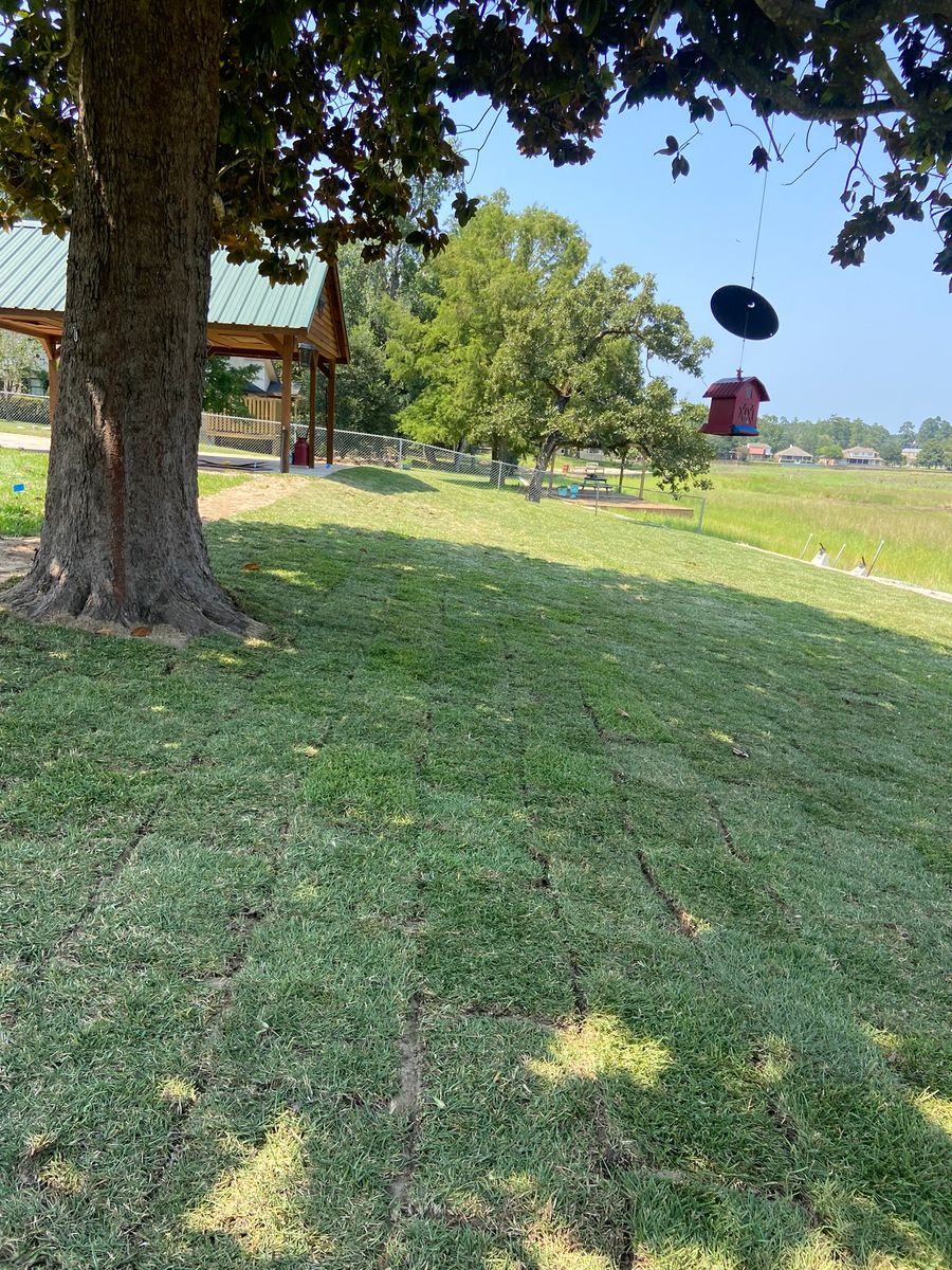 Mowing for Texas Vision Lawn & Landscape in Beaumont, TX