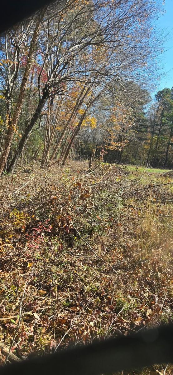 Forestry Mulching for Southern Stronghold Earthworks in Benson, NC