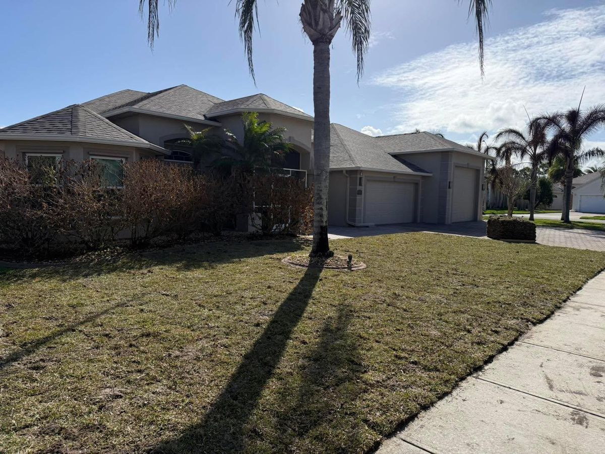 Shrub, Hedge and Small Tree Trimming for Florida Pro Turf in Rockledge, FL