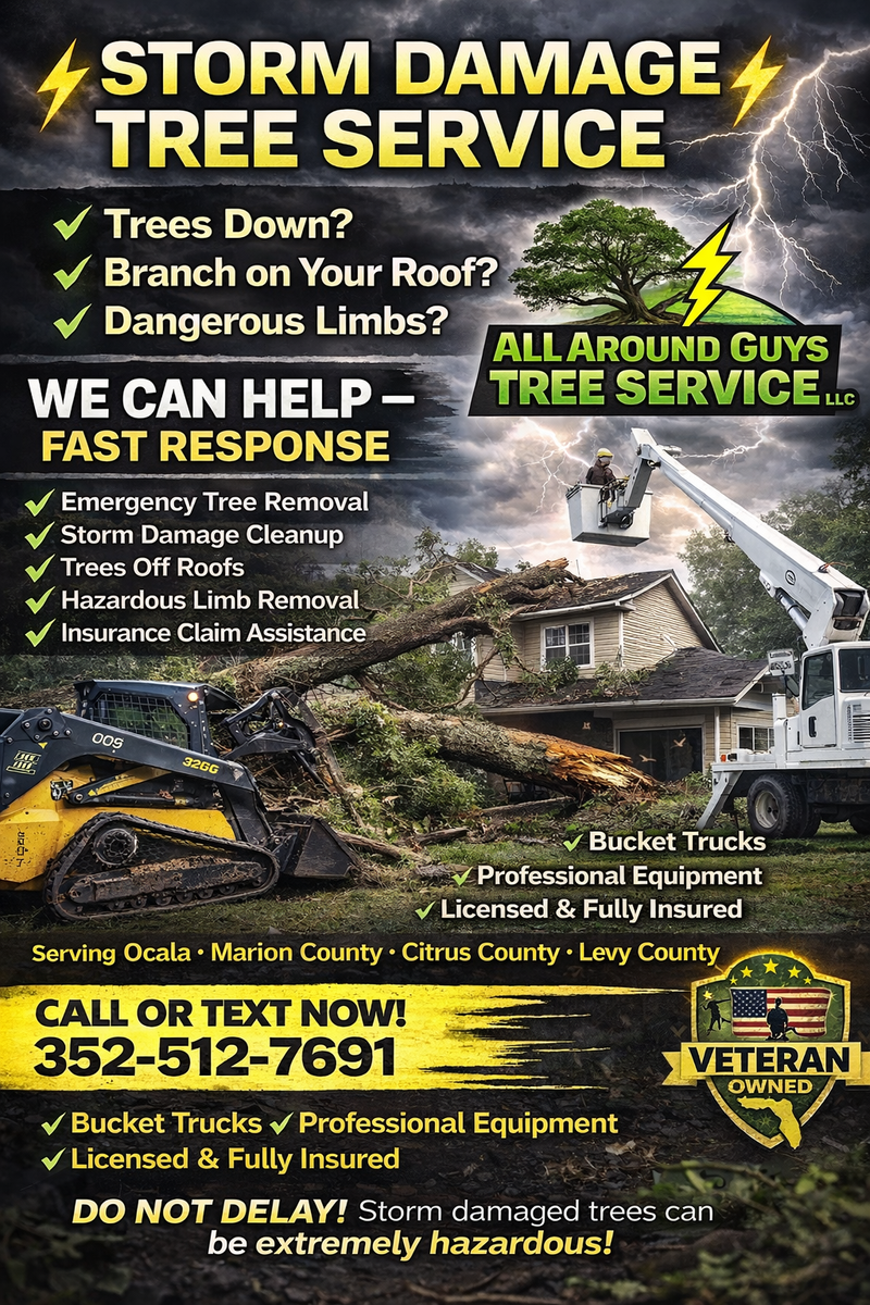 Tree Removal for All Around Guys Tree Service in Ocala, FL