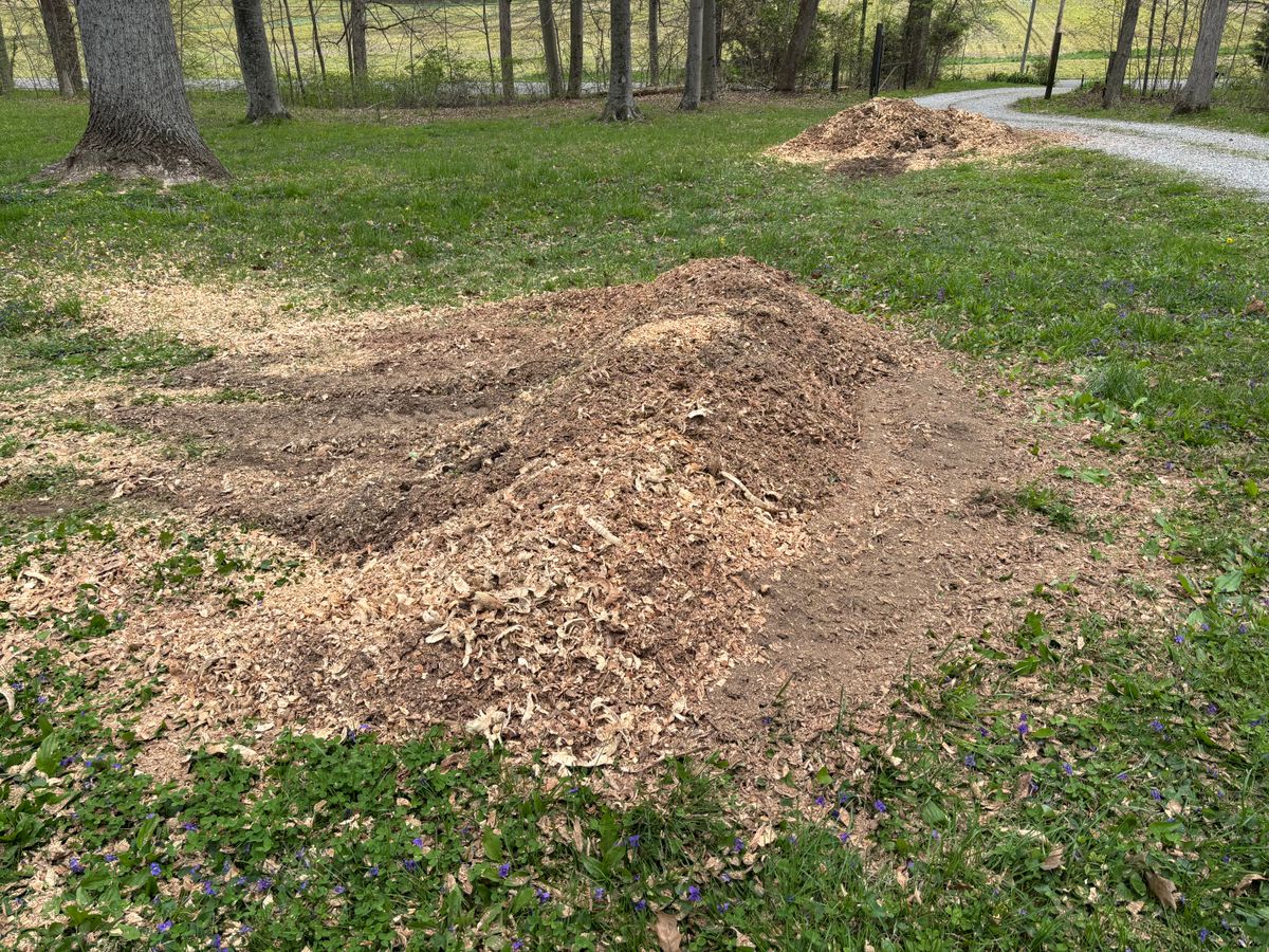 Stump Removal for Conrad's Stump Removal in Columbus, IN