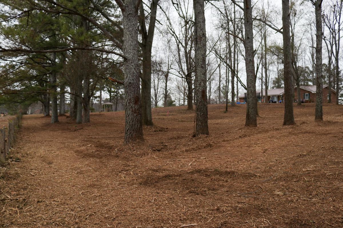 Mulching for Mud Creek Vegetation Management in Russellville, AL