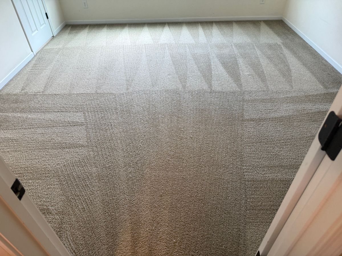 Carpet Cleaning for SteamMaster's in Concord, NC