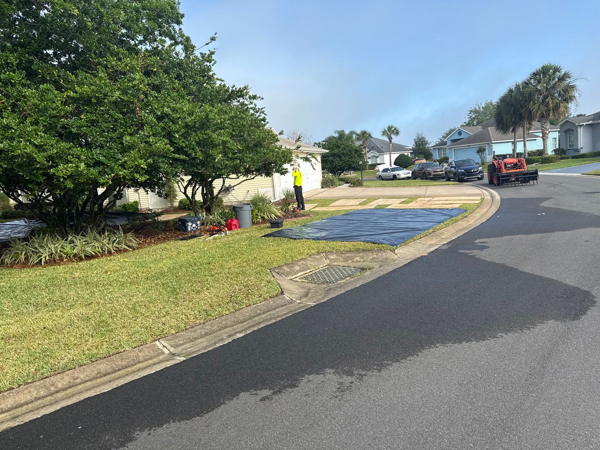 Fall Clean Up for Amerigrown Tree And Lawn in Apopka, FL