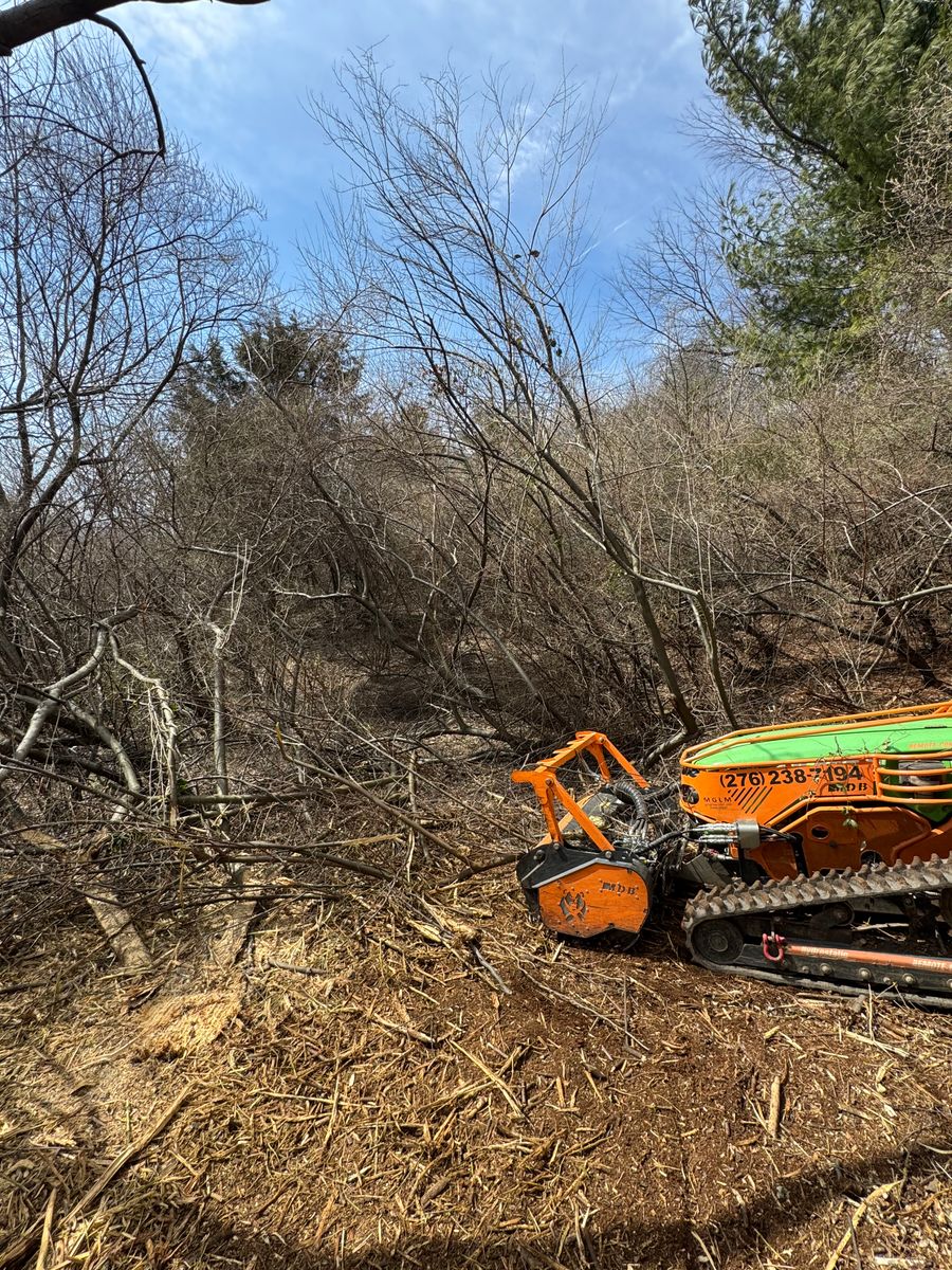 Land Clearing for Mountain Goat Land Management in Galax, VA