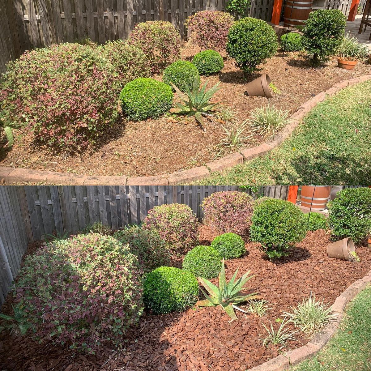 Landscape & Property Cleanup for Kings Legacy Services in Gainesville ,  FL