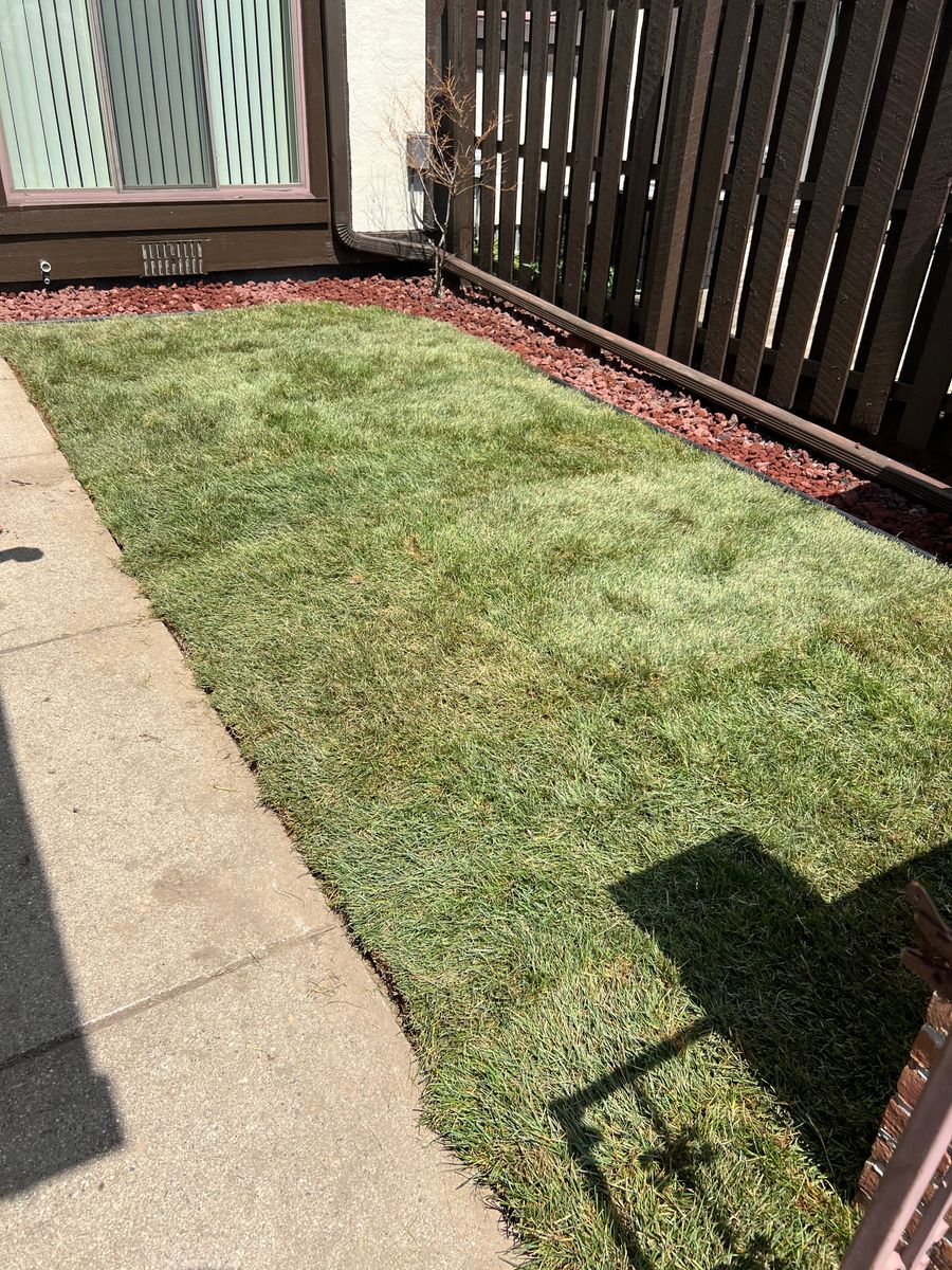Sod Installation for Alltimate Outdoor Services in Warren, MI