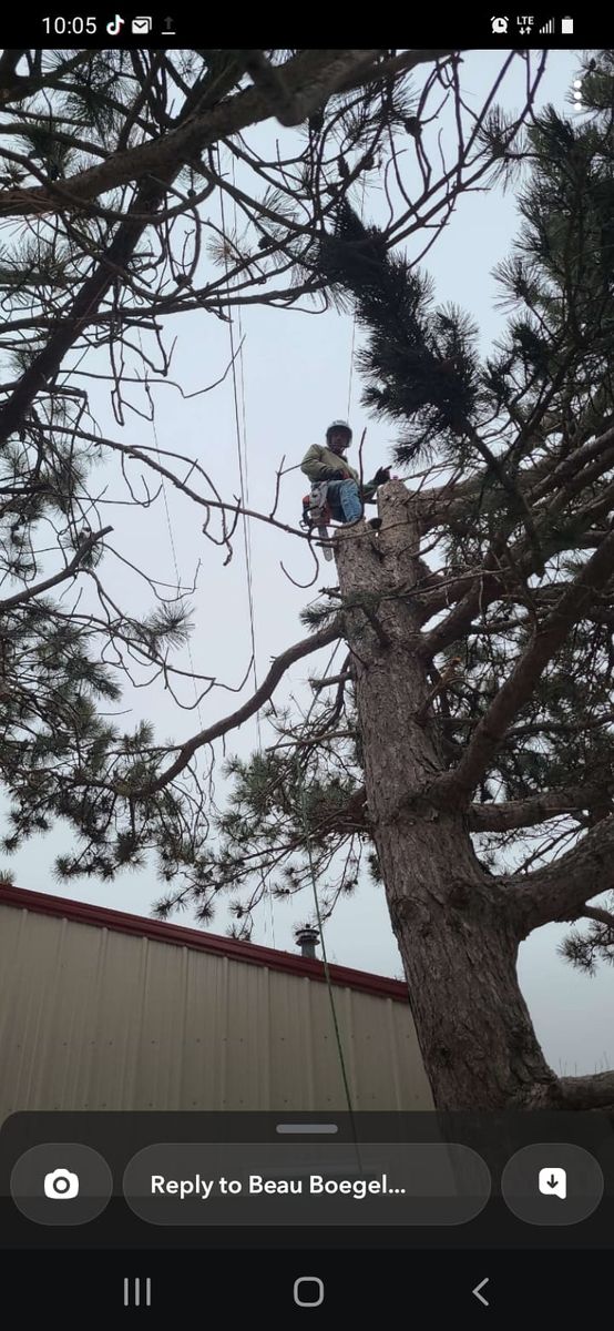 Tree Trimming for SMH Tree Service in Atwood, KS