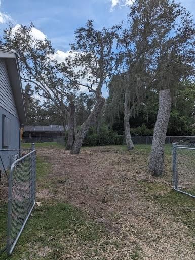 Tree Trimming for Regal Tree Service and Stump Grinding in Wauchula, FL