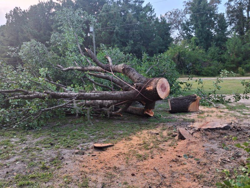 Tree Removal for Hawkins Tree Service & Land Management in Richmond Hill, GA
