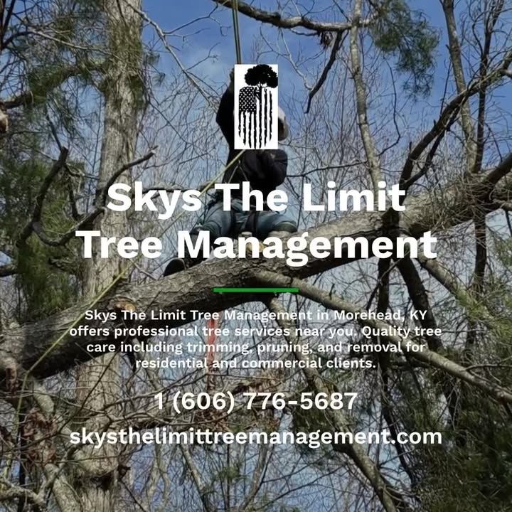 Tree Trimming for Skys The Limit Tree Management in Morehead, KY