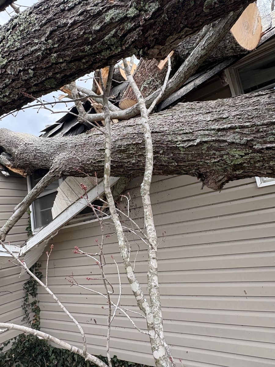 Storm Damage and Repairs for Rippetoe Builders LLC in Cookeville, TN